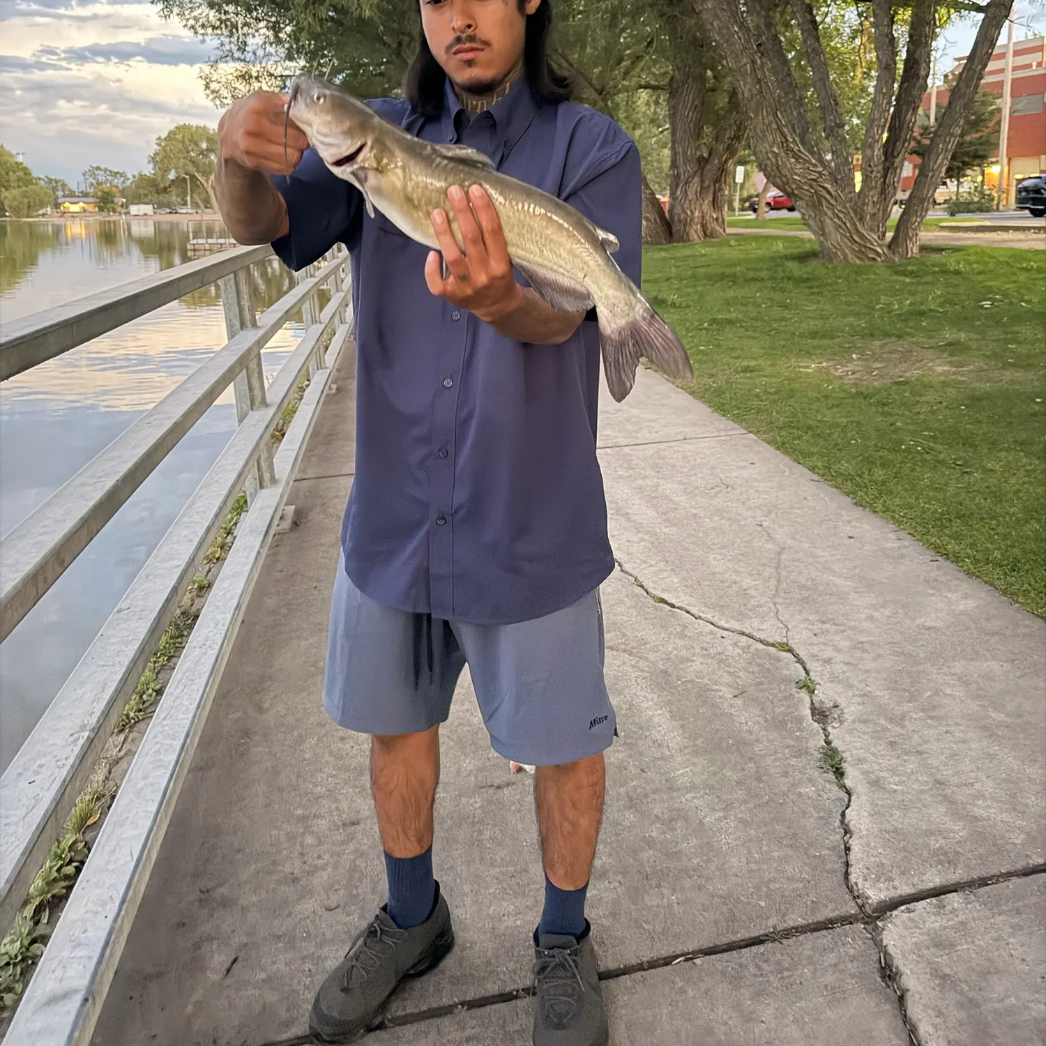Channel catfish caught on Fishbrain