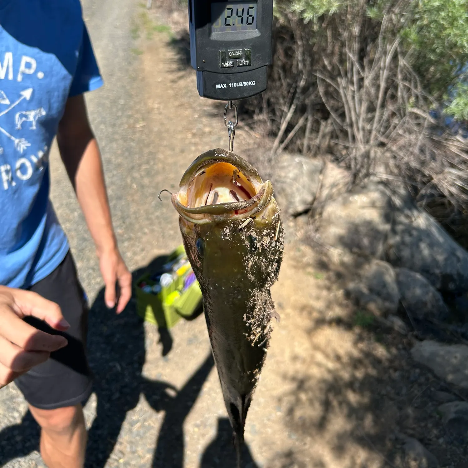 catch
