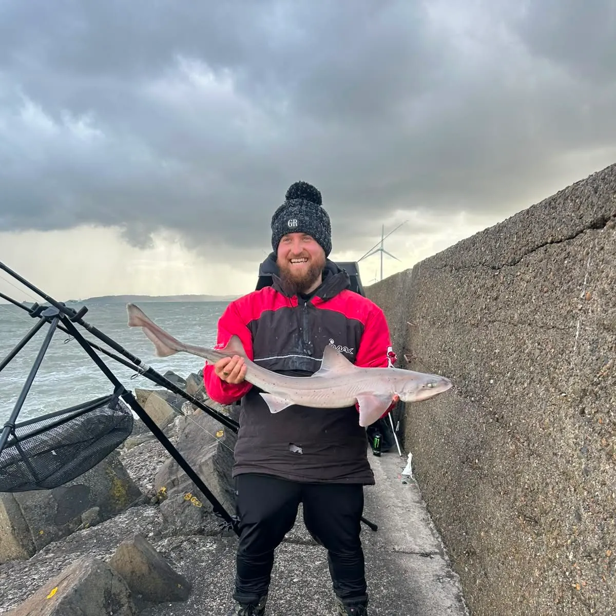 The most recent Grey smooth-hound catches on Fishbrain