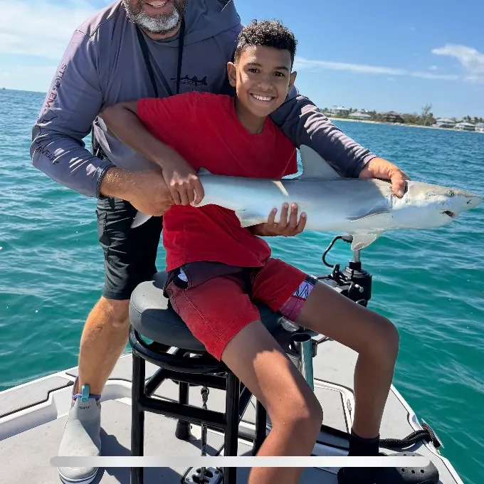 The most recent Blacknose shark catches on Fishbrain