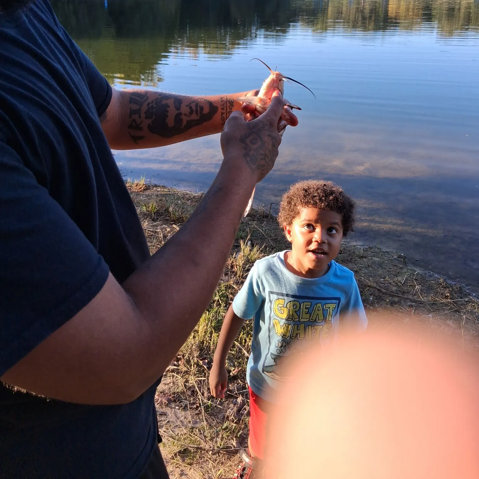 Channel catfish caught on Fishbrain