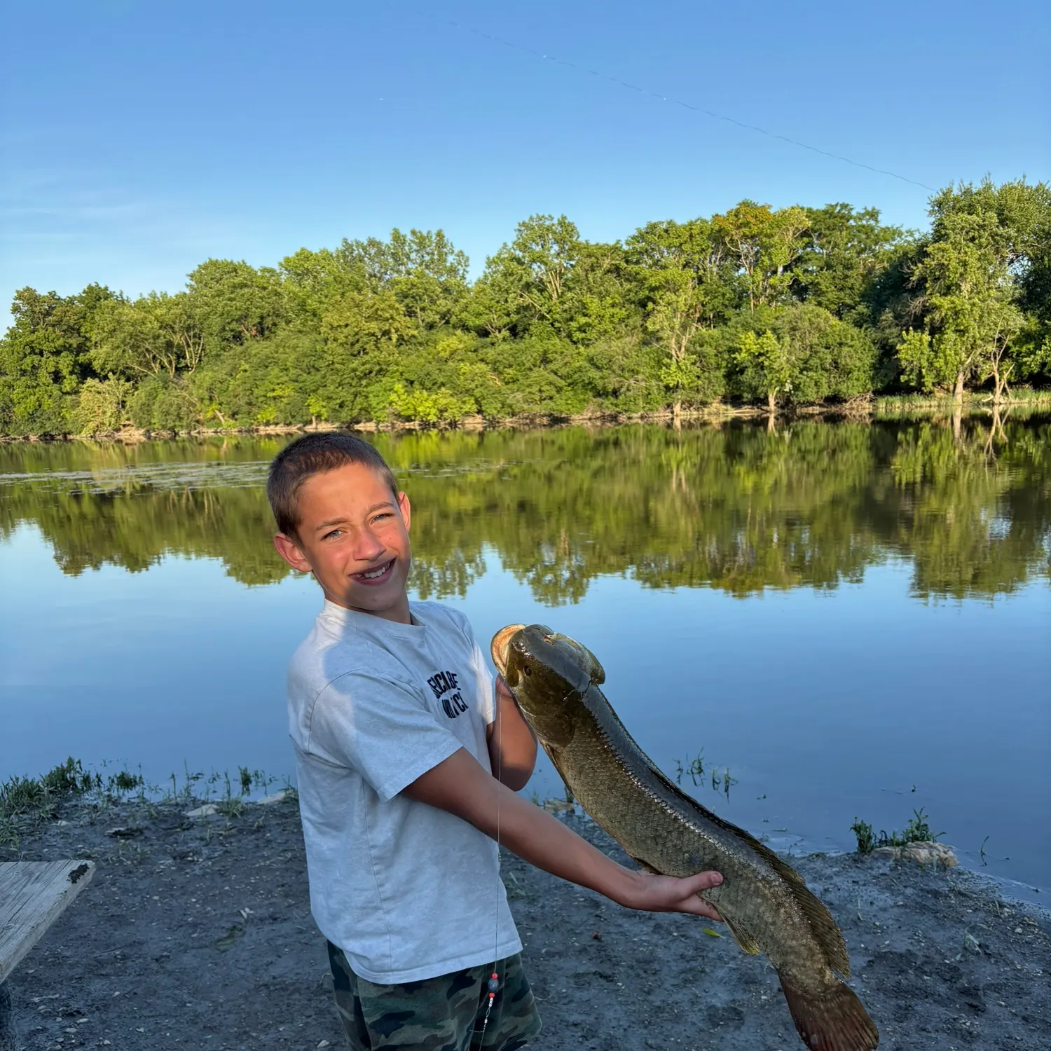 The most recent Ruddy bowfin catches on Fishbrain