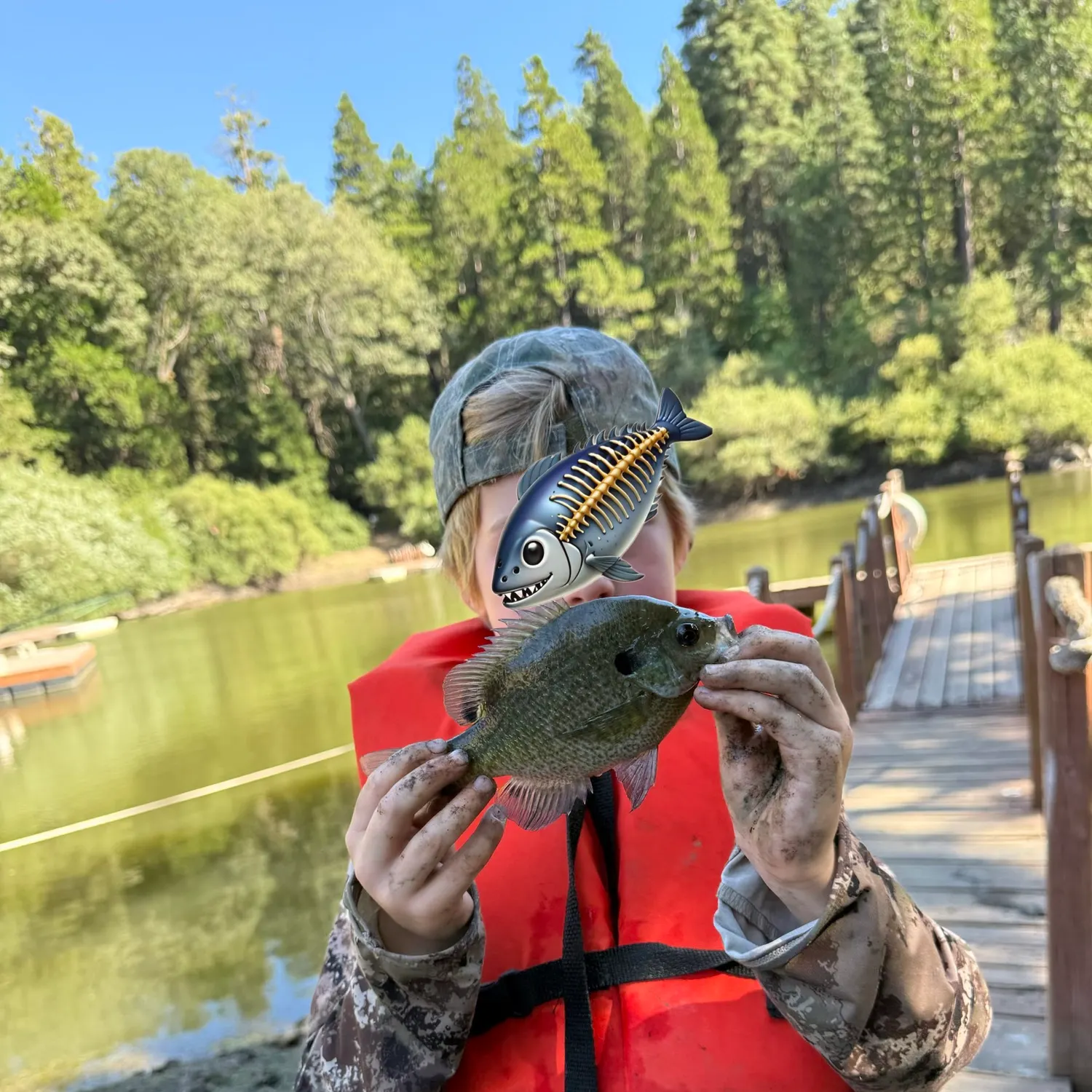Bluegill caught on Fishbrain