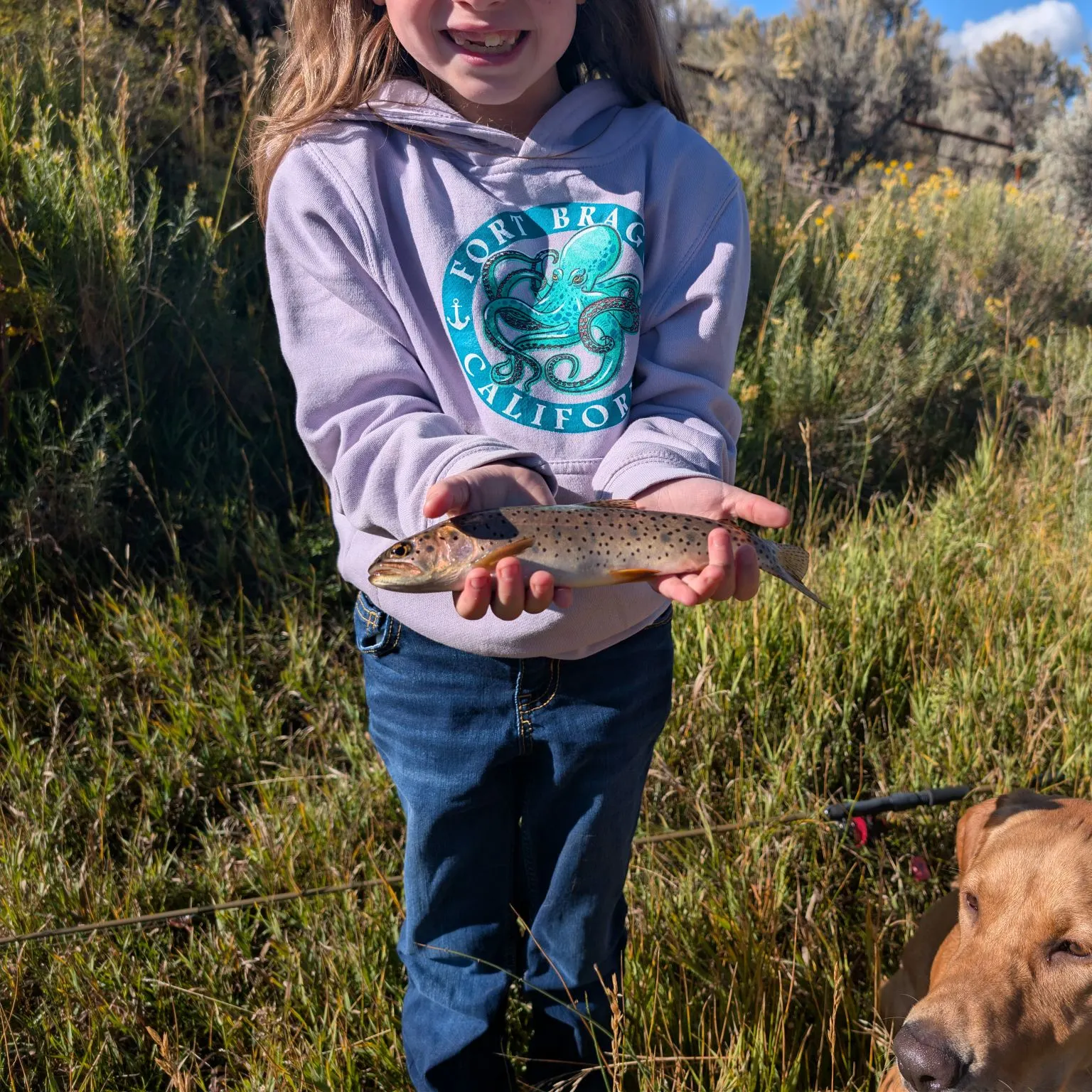 Cutthroat trout caught on Fishbrain