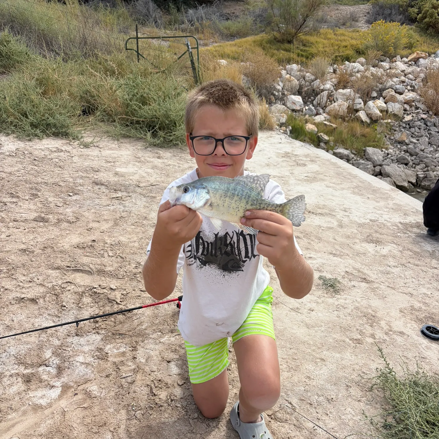 Fish caught on Fishbrain