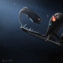 The most recent Watases lanternfish catches on Fishbrain