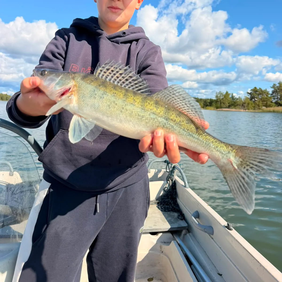 Zander caught on Fishbrain