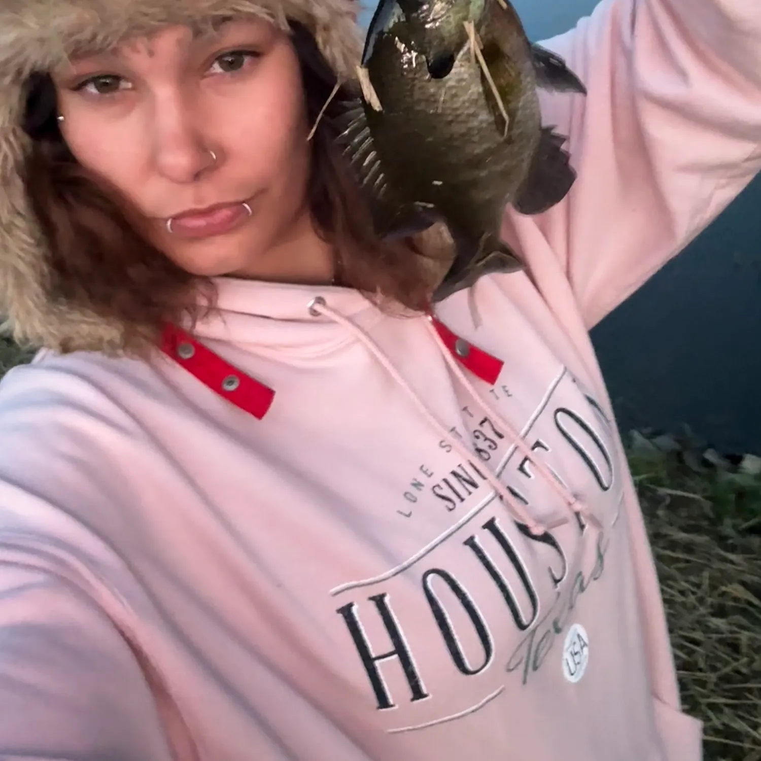 Bluegill caught on Fishbrain
