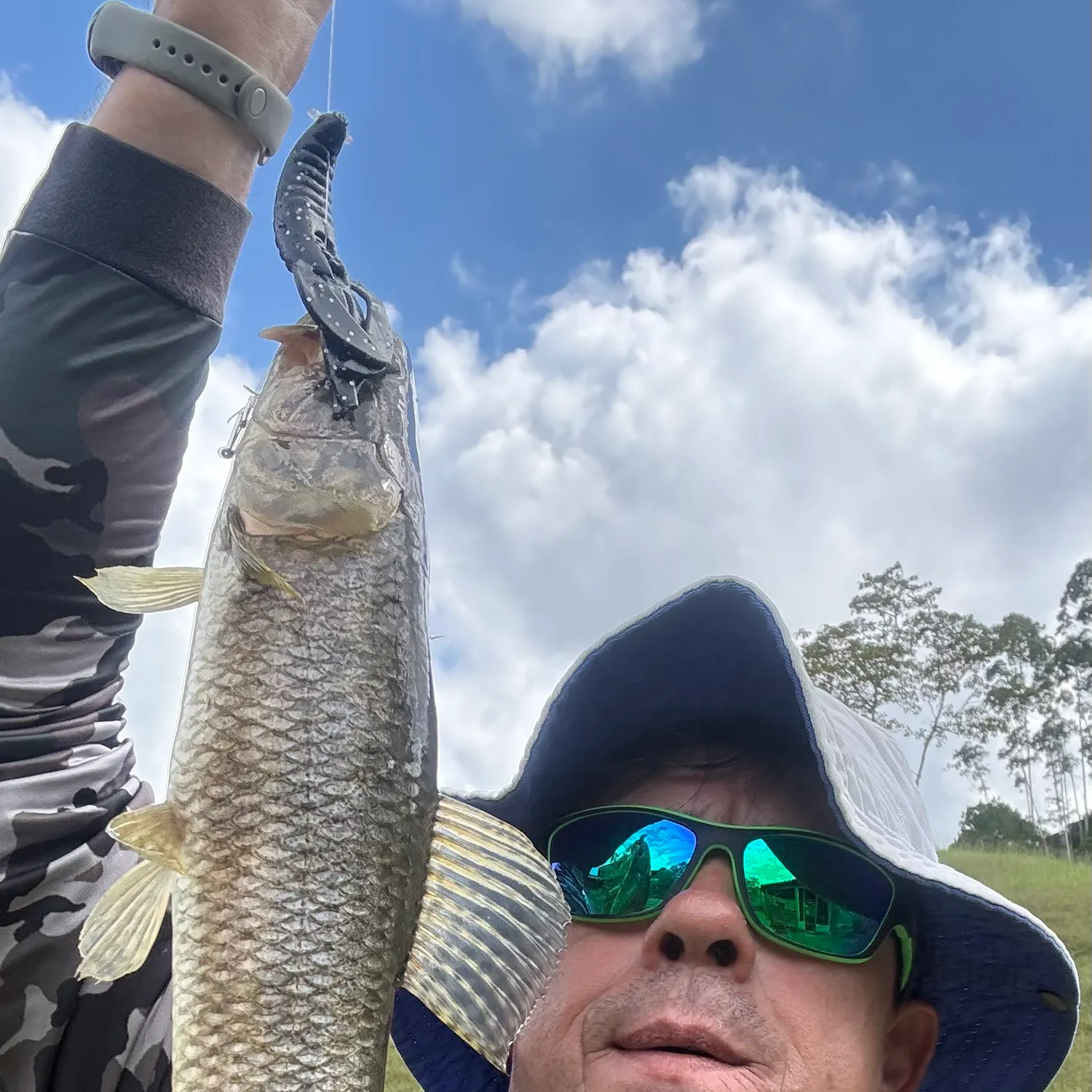 The most recent Trahira catches on Fishbrain