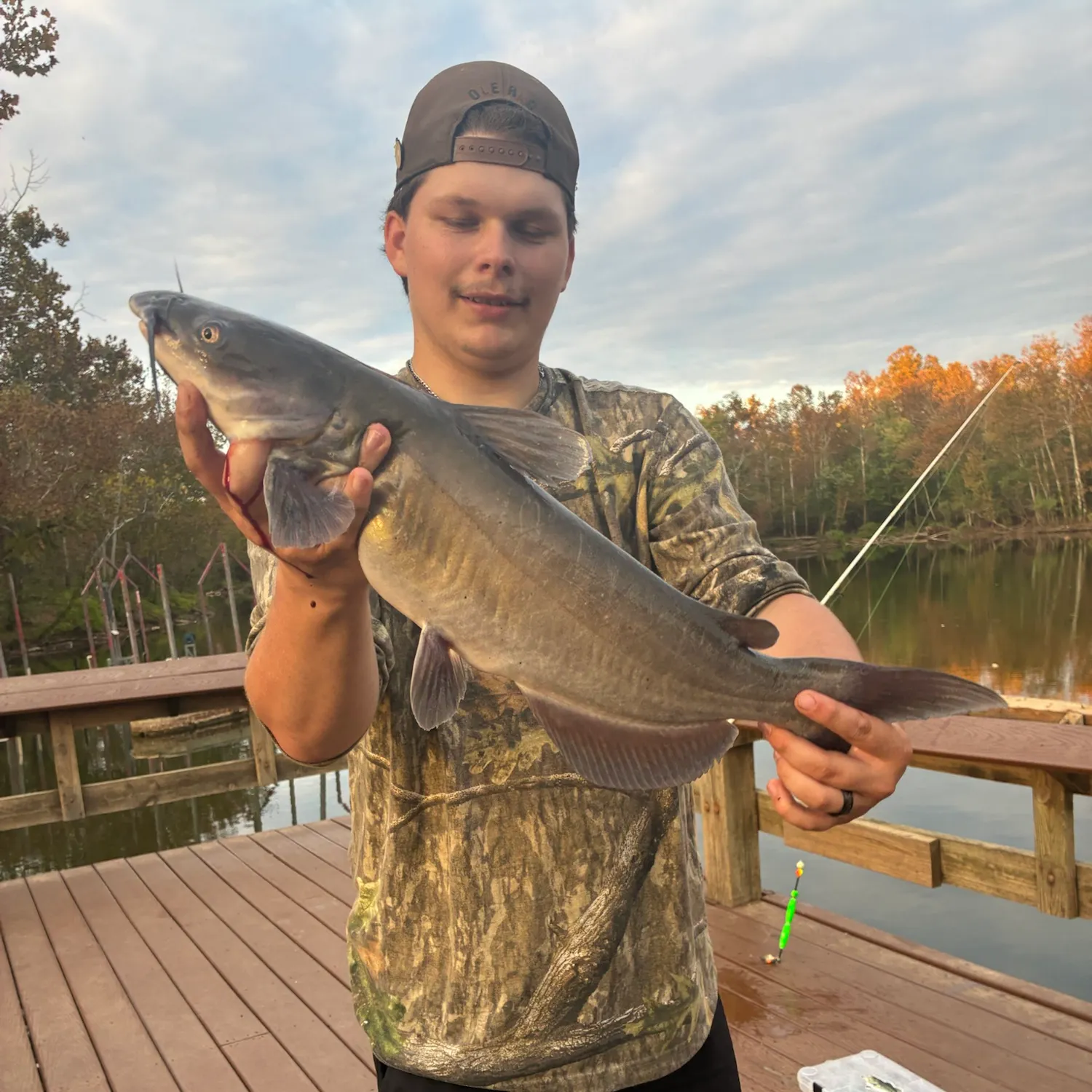 Channel catfish caught on Fishbrain