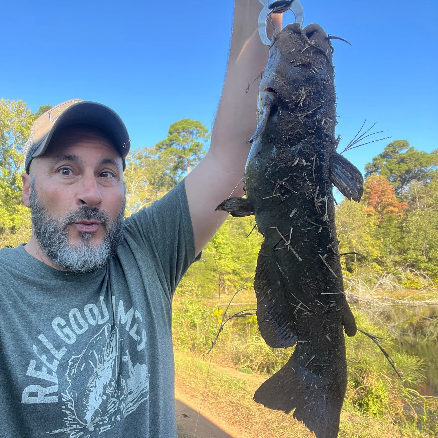 The most recent Brown bullhead catches on Fishbrain