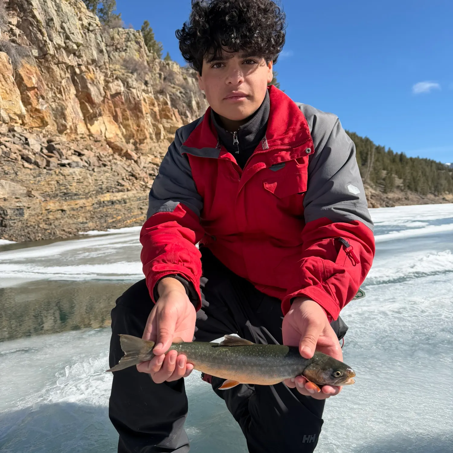 The most recent Arctic char catches on Fishbrain