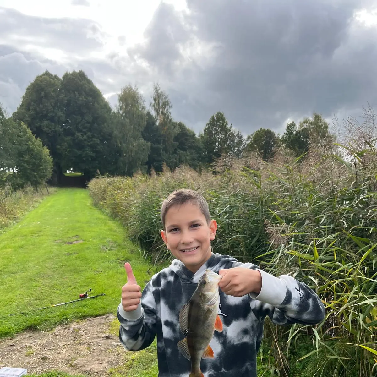 European perch caught on Fishbrain