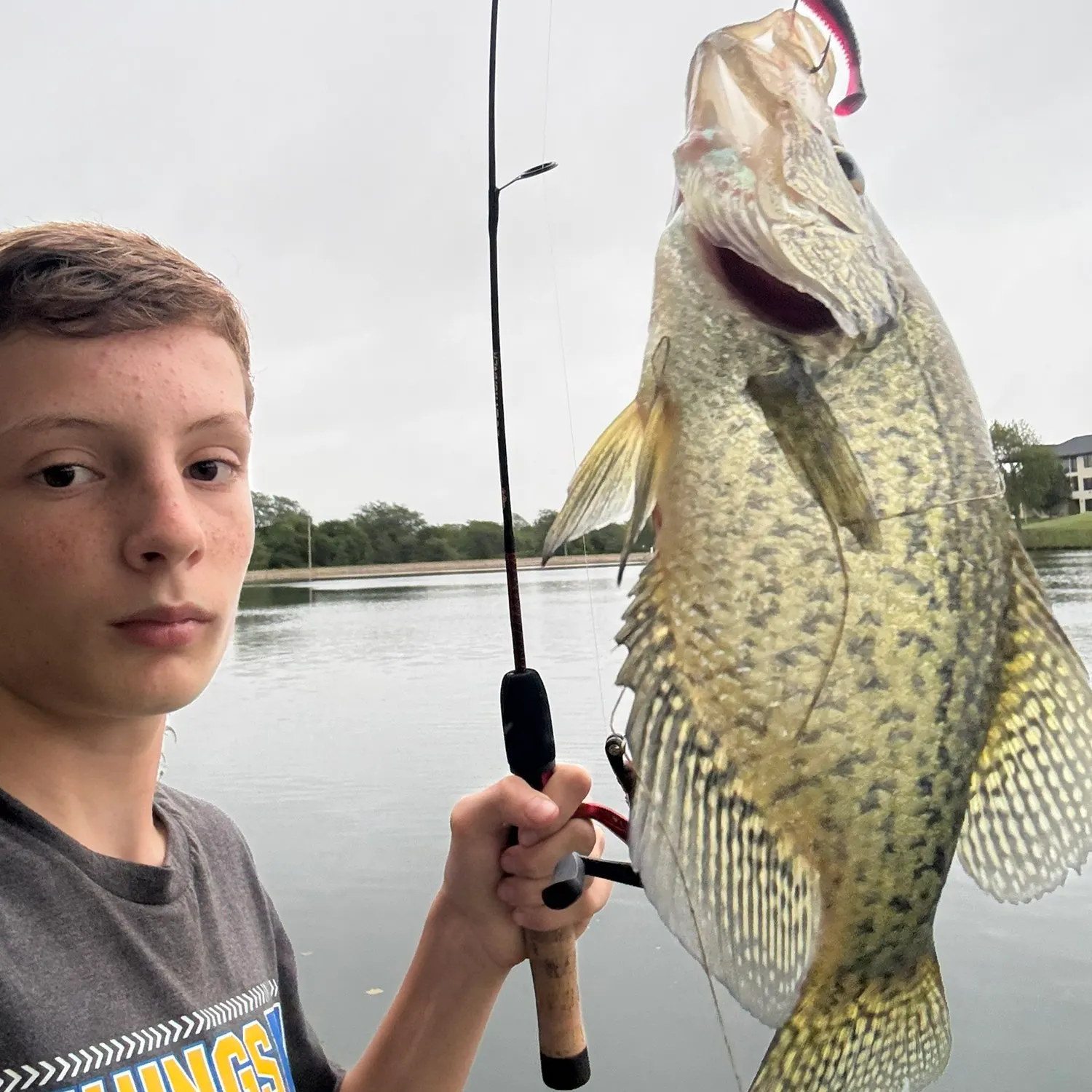 Black crappie caught on Fishbrain