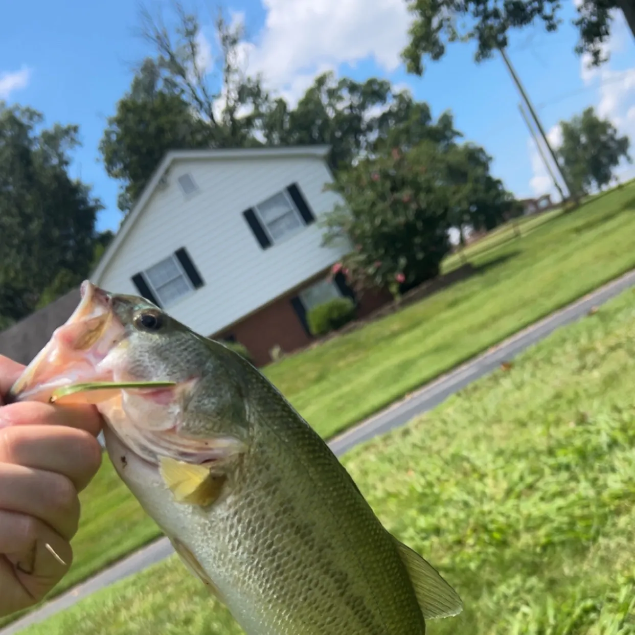 angler catch