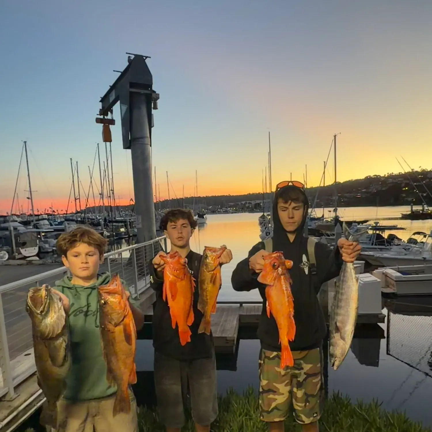 recently logged catches