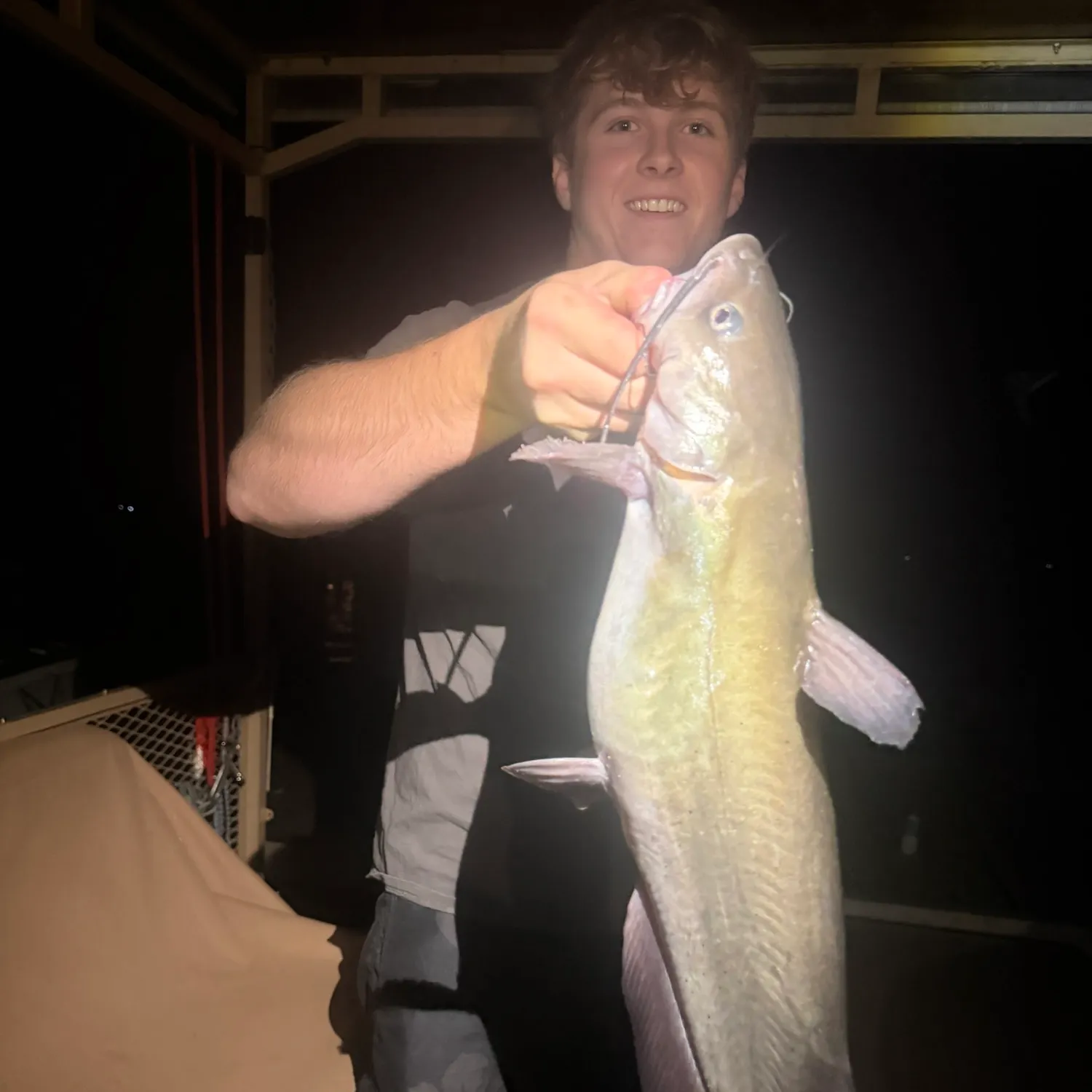 Channel catfish caught on Fishbrain