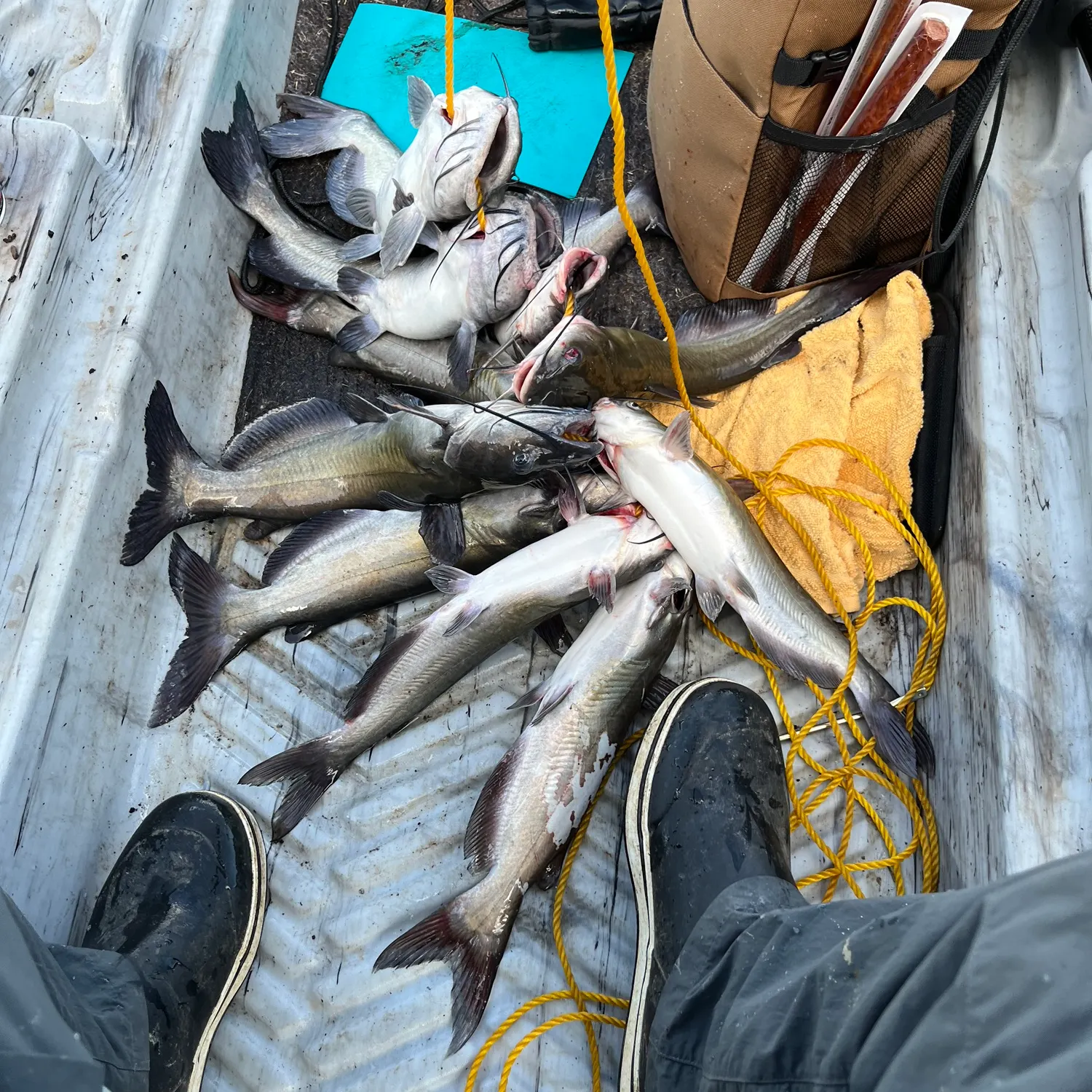 catch