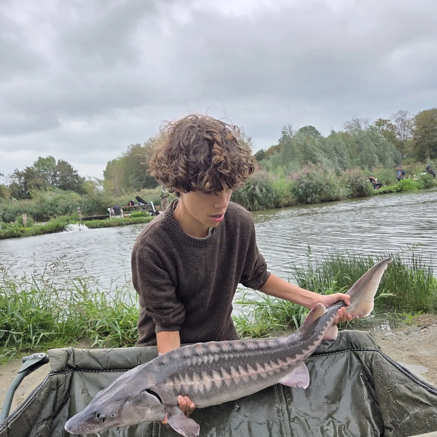 The most recent European sturgeon catches on Fishbrain