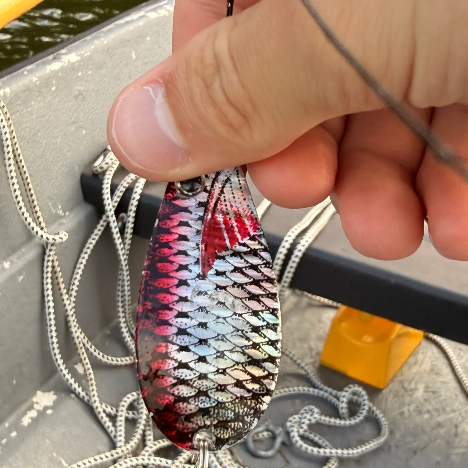 The most recent Sunbleak catches on Fishbrain
