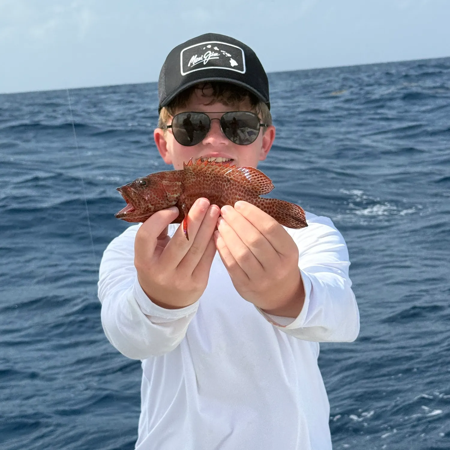 The most recent Red hind grouper catches on Fishbrain