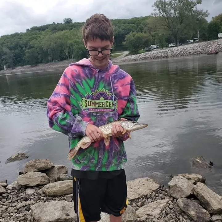 Northern pike caught on Fishbrain