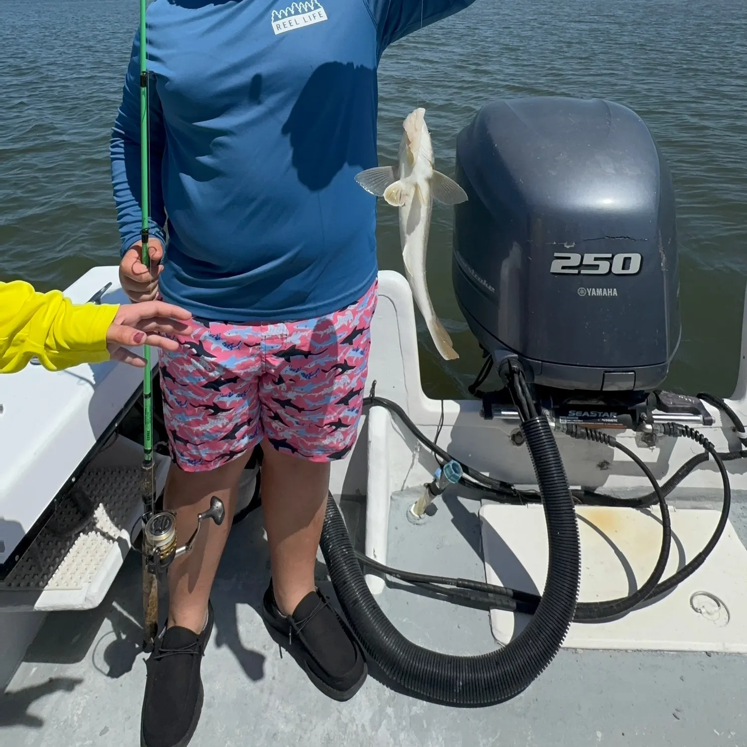 The most recent Whiting catches on Fishbrain