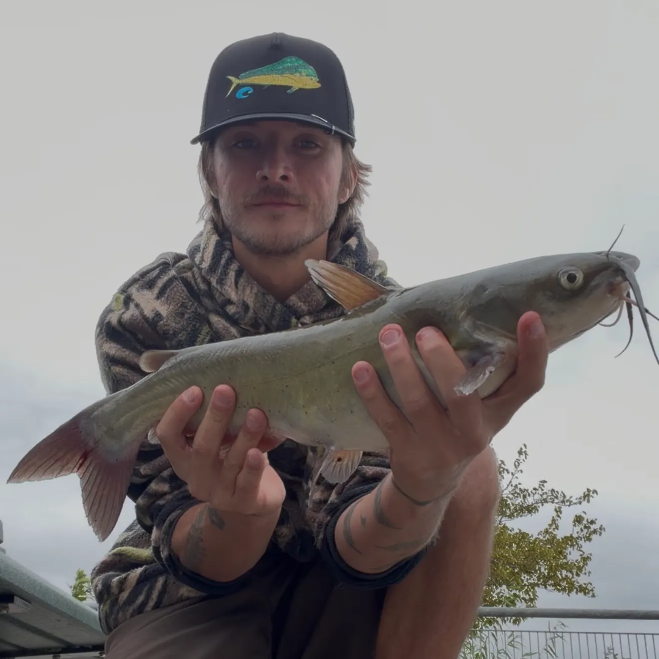 Channel catfish caught on Fishbrain