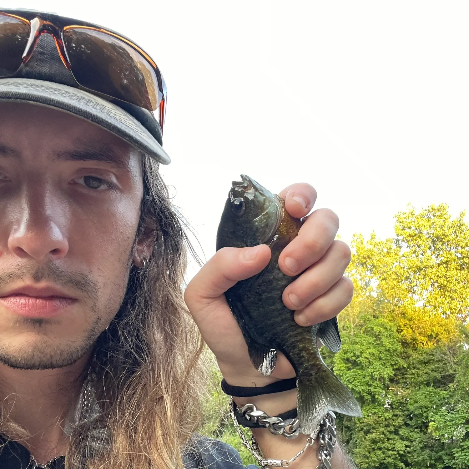 Bluegill caught on Fishbrain