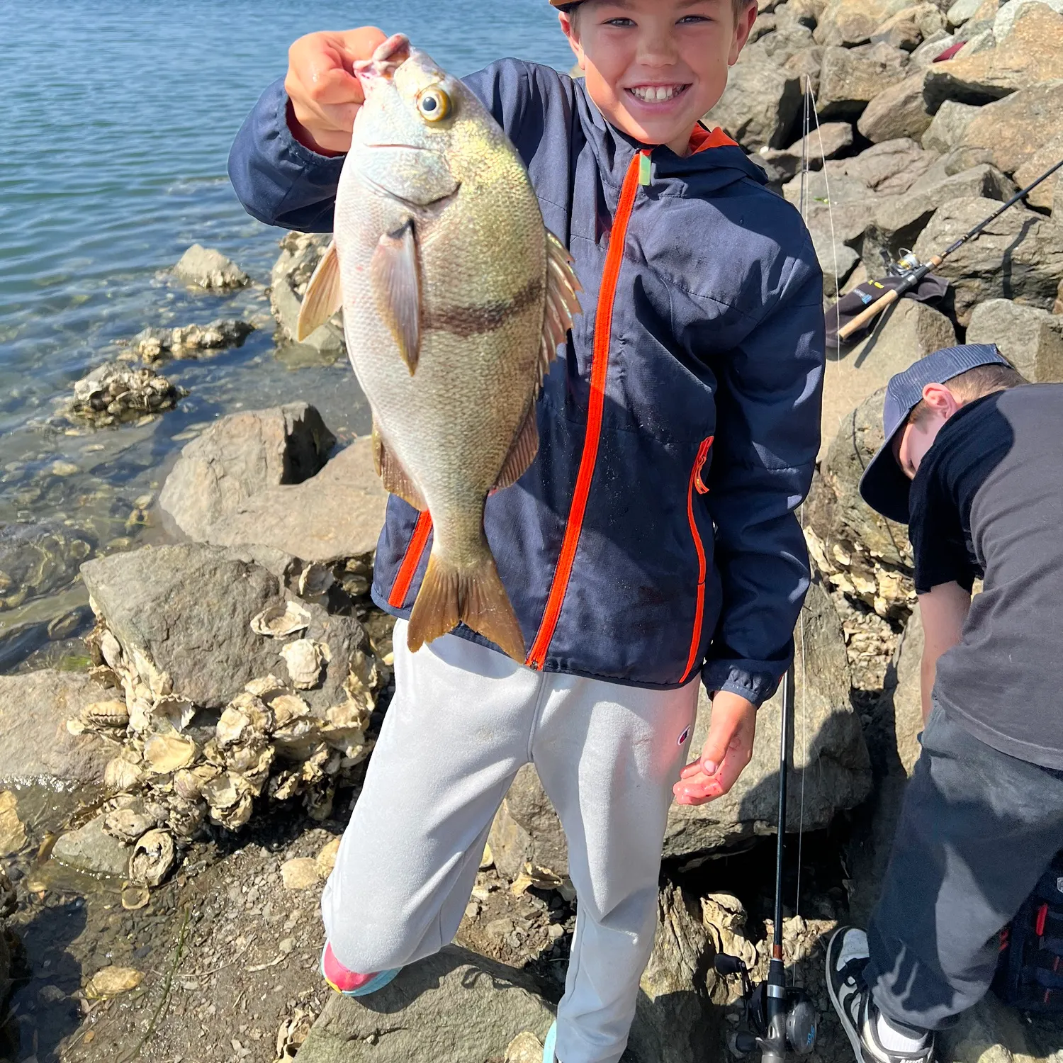 The most recent Sargo catches on Fishbrain