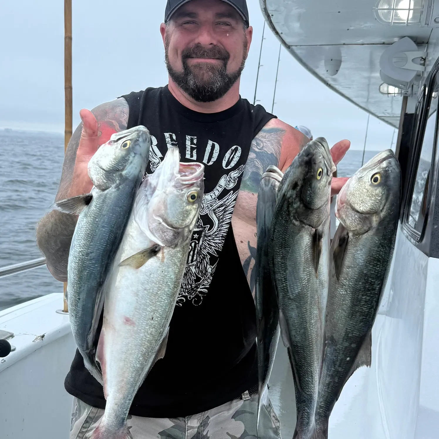 recently logged catches