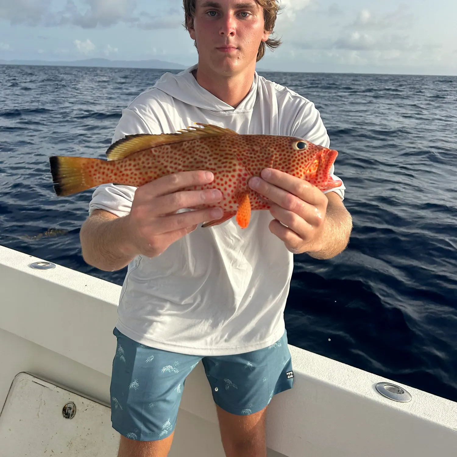 The most recent Red hind grouper catches on Fishbrain