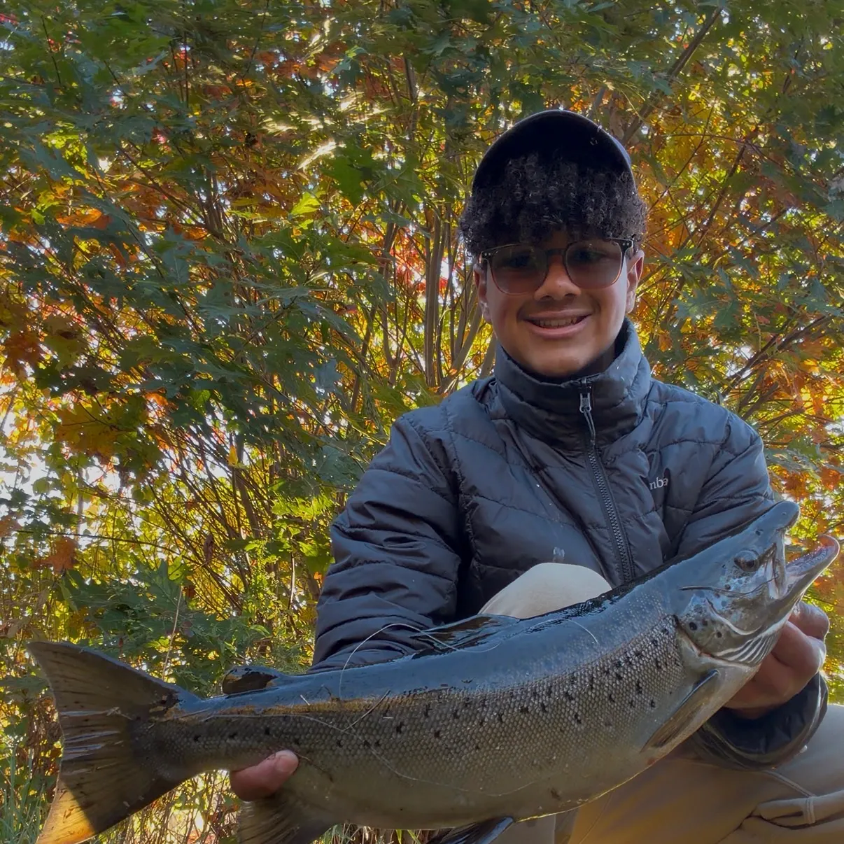 The most recent Landlocked atlantic salmon catches on Fishbrain