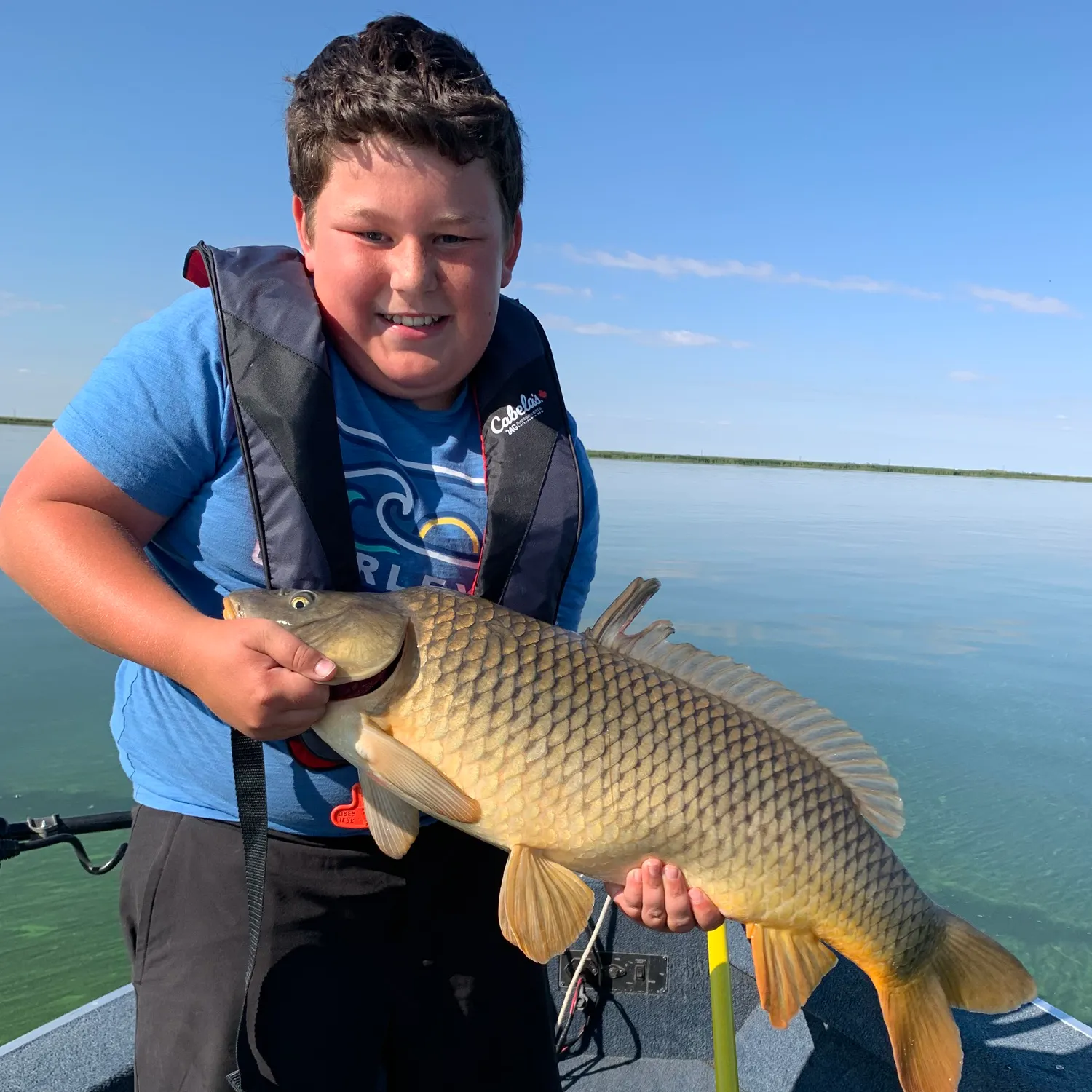 Common carp caught on Fishbrain