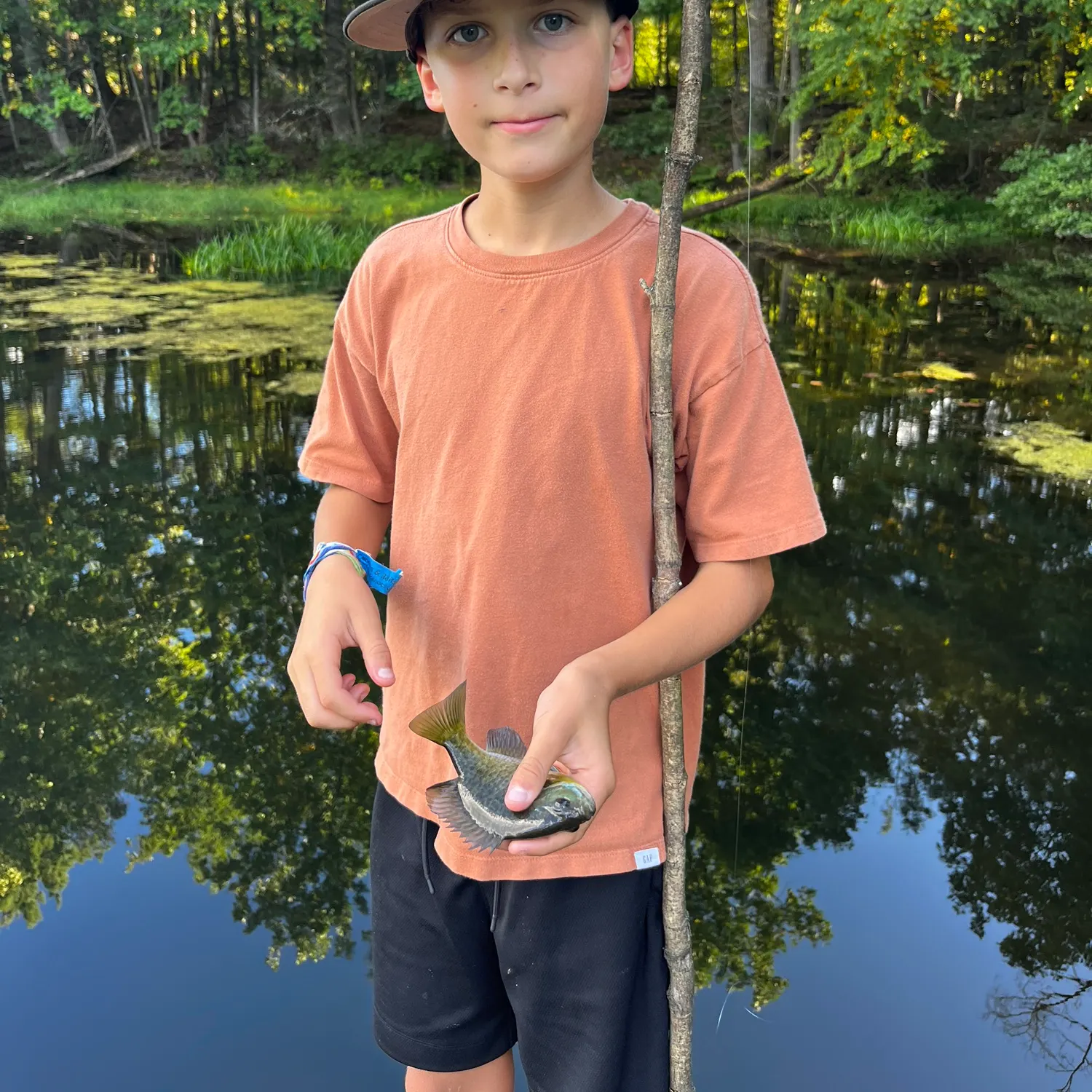 Bluegill caught on Fishbrain