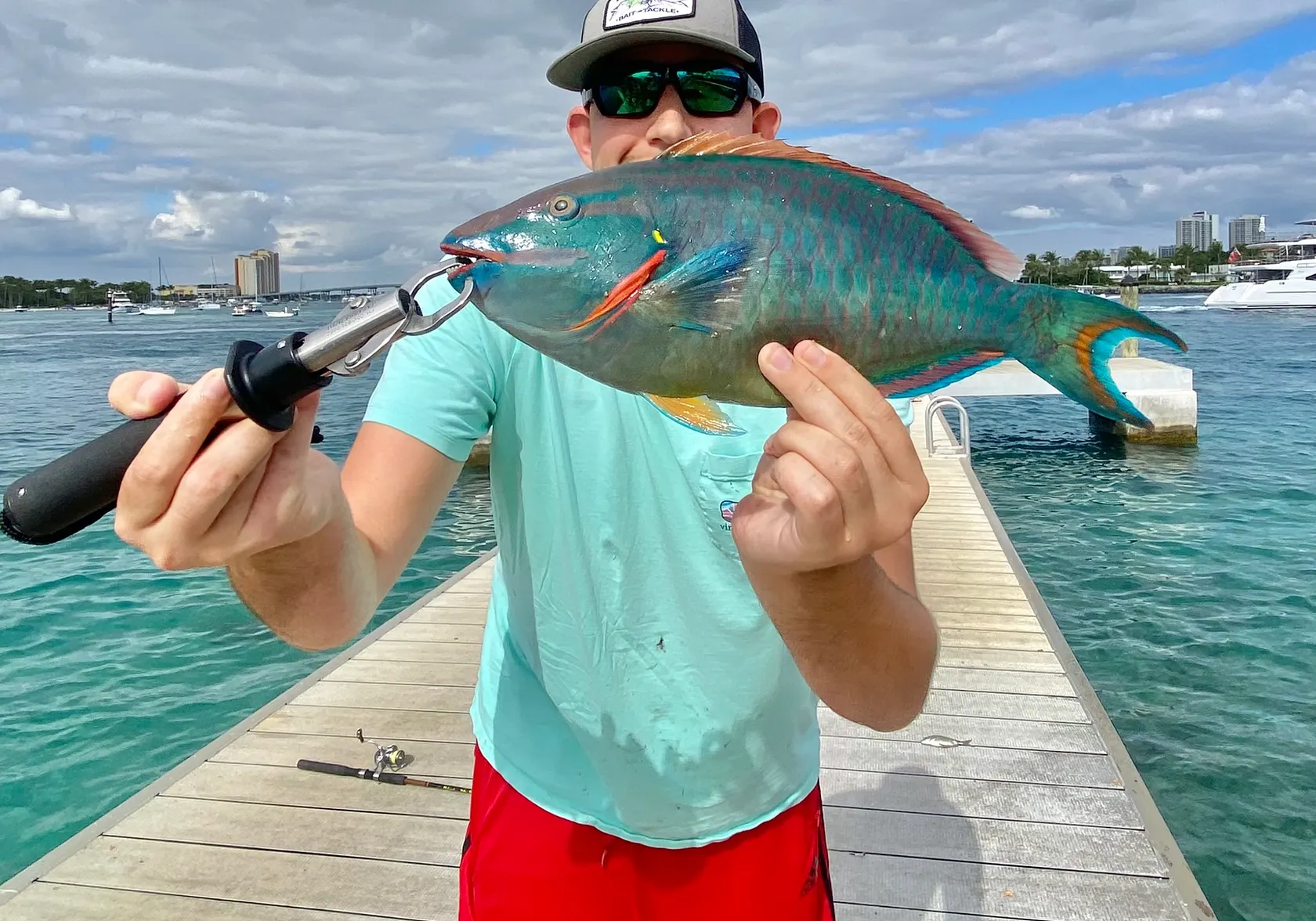 Stoplight parrotfish