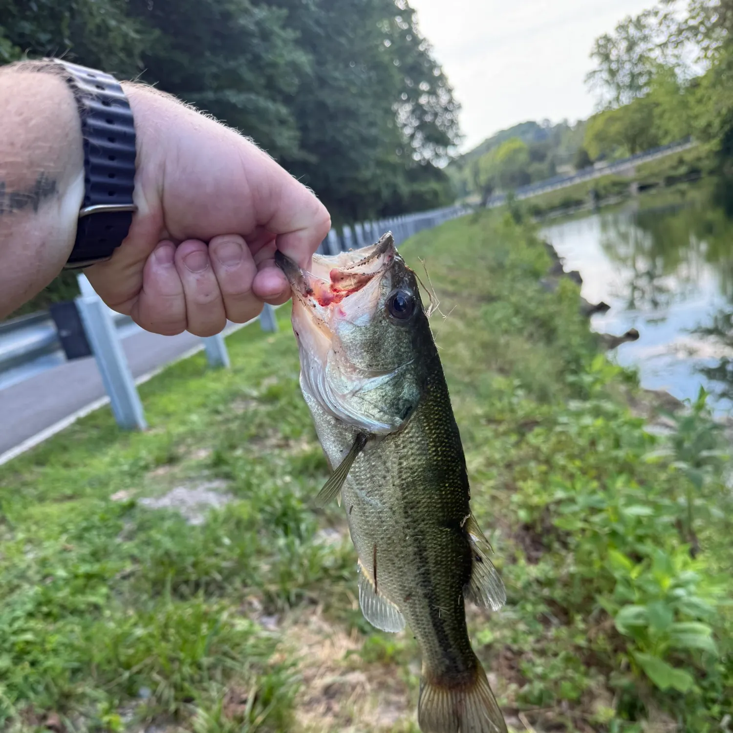 catch