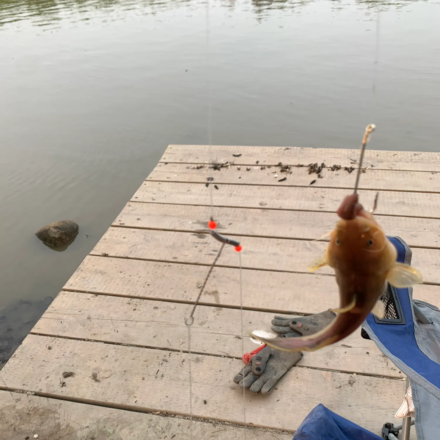 most liked catch image