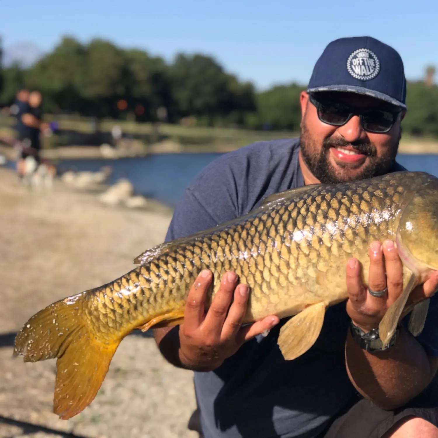 The most popular recent Common carp catch on Fishbrain