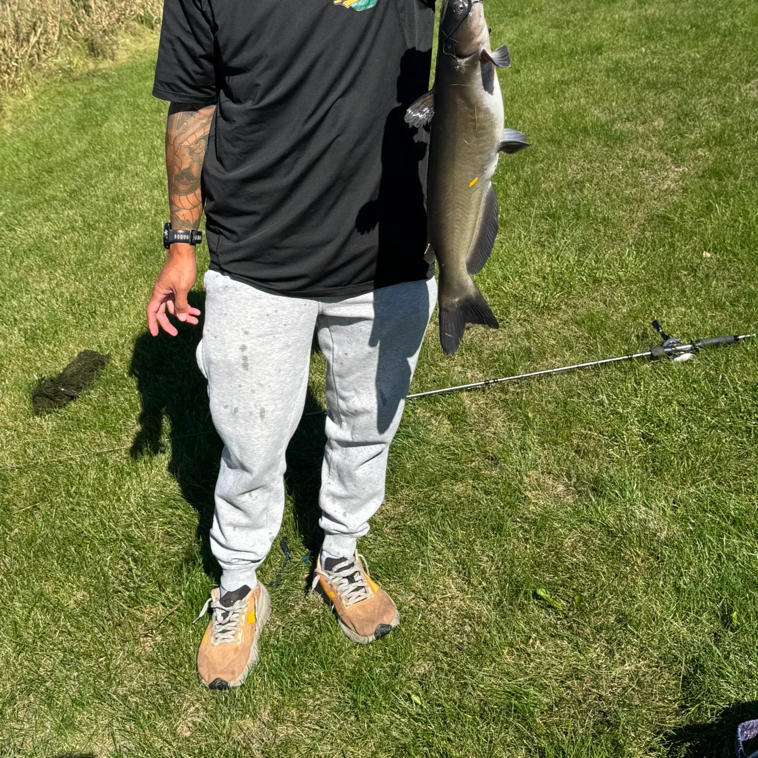 Channel catfish caught on Fishbrain