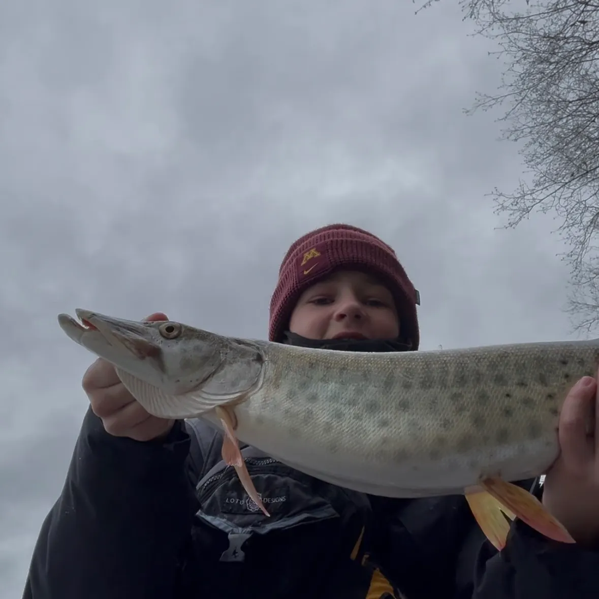 The most recent Muskellunge catches on Fishbrain