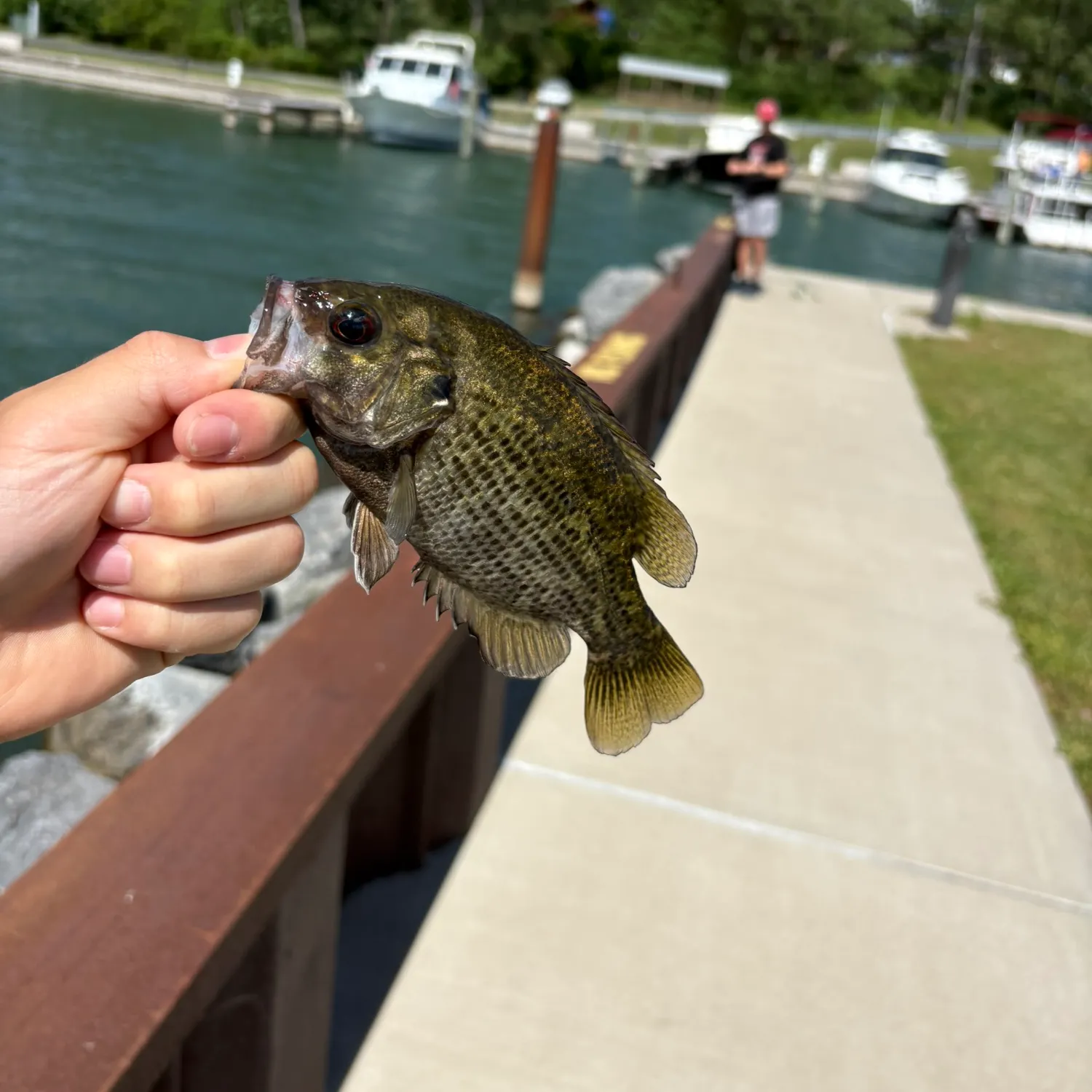 catch