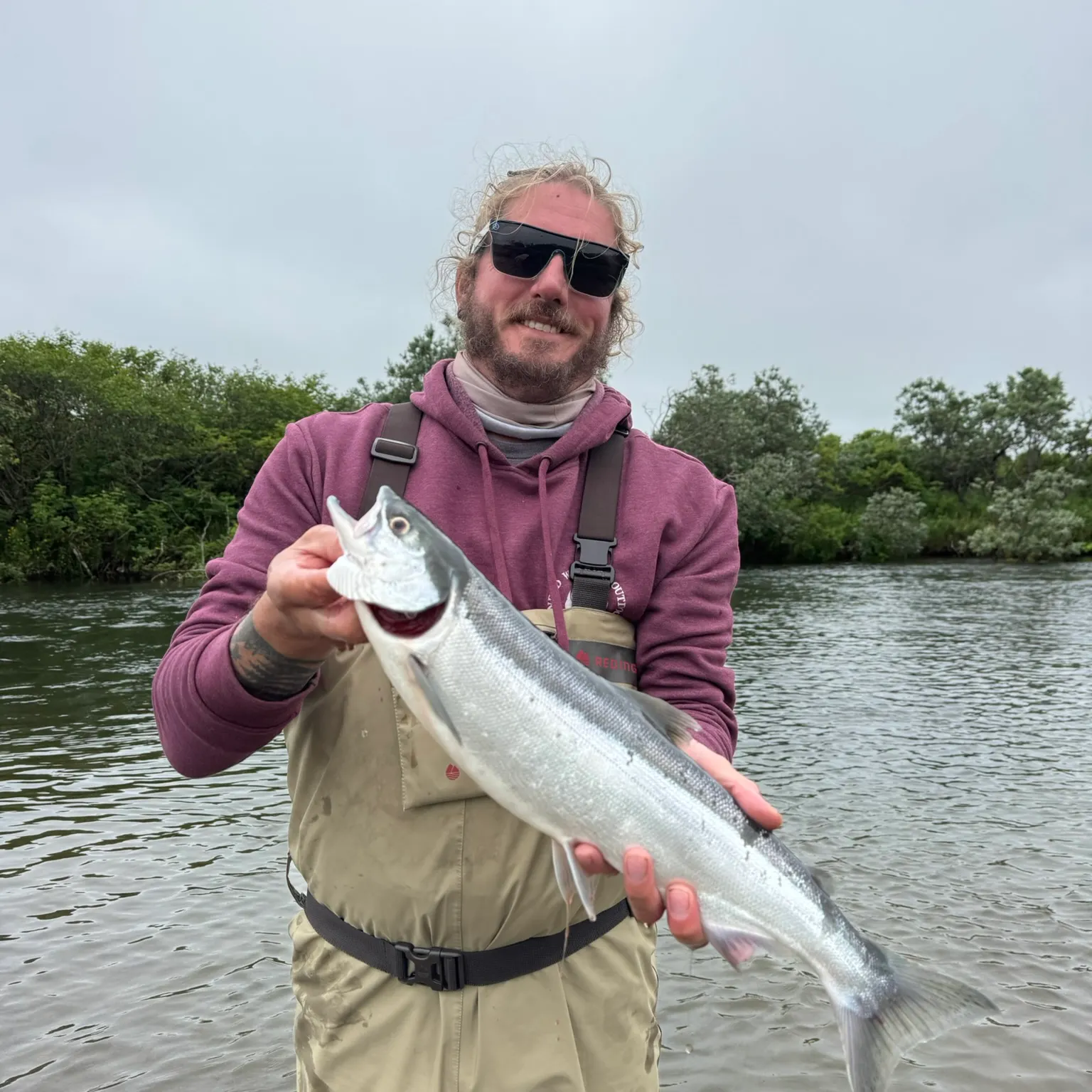 The most recent Sockeye salmon catches on Fishbrain