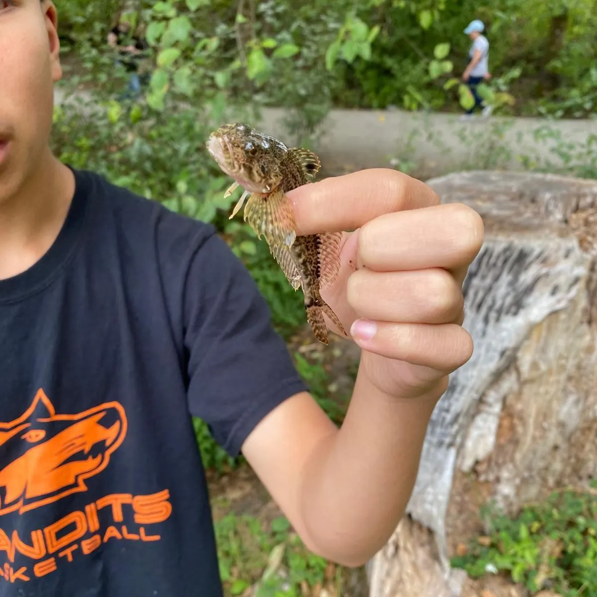 Coastrange sculpin caught on Fishbrain