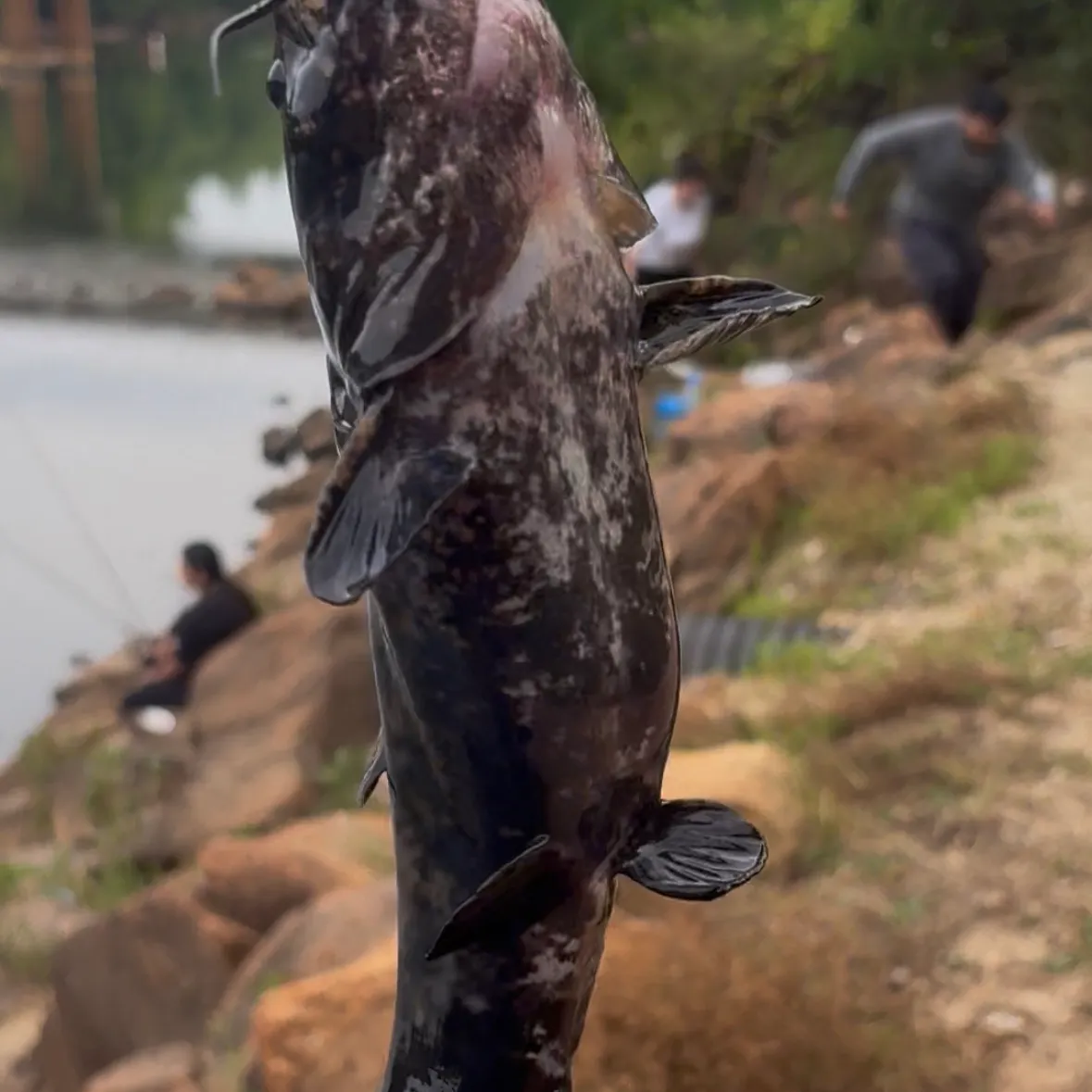 catch