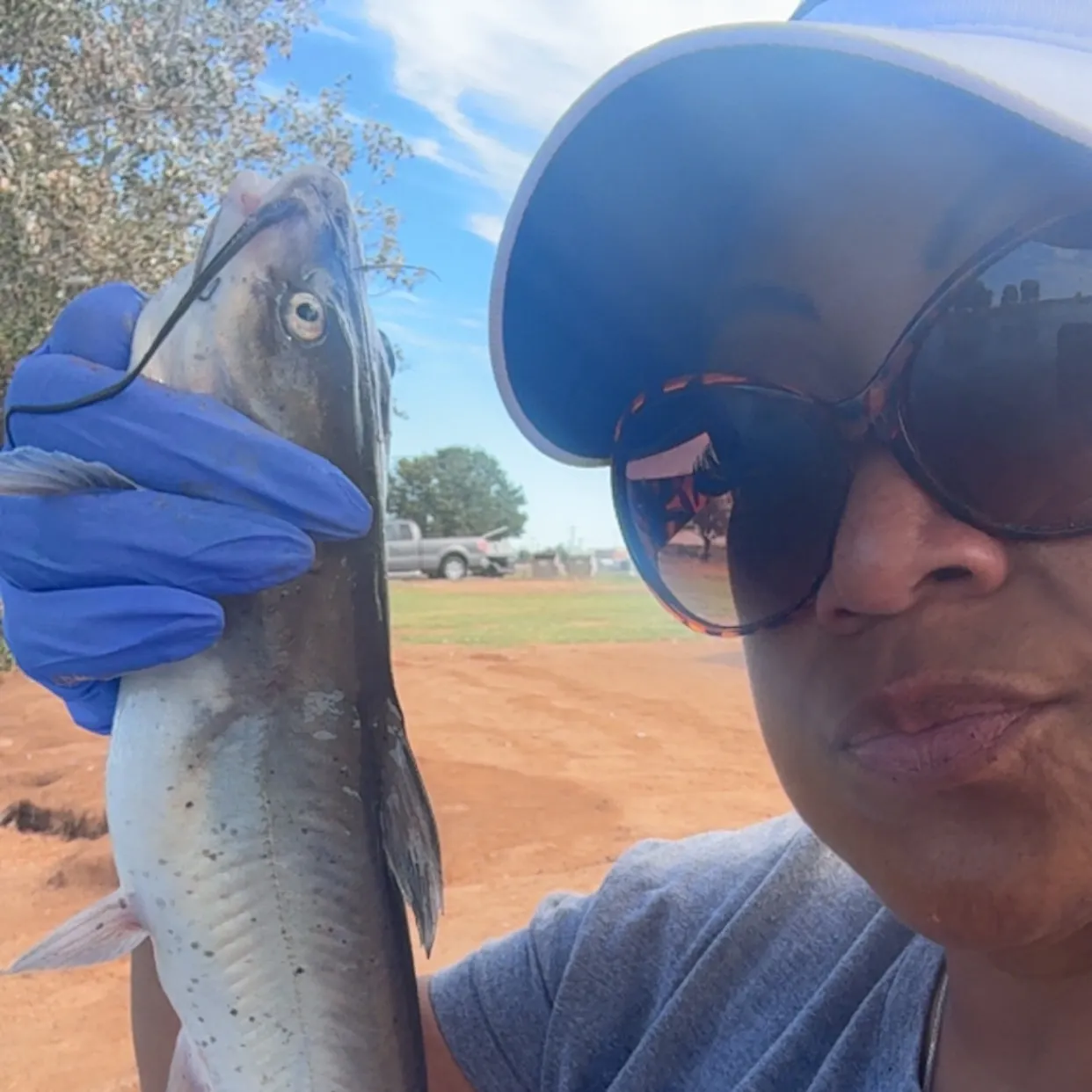 Channel catfish caught on Fishbrain