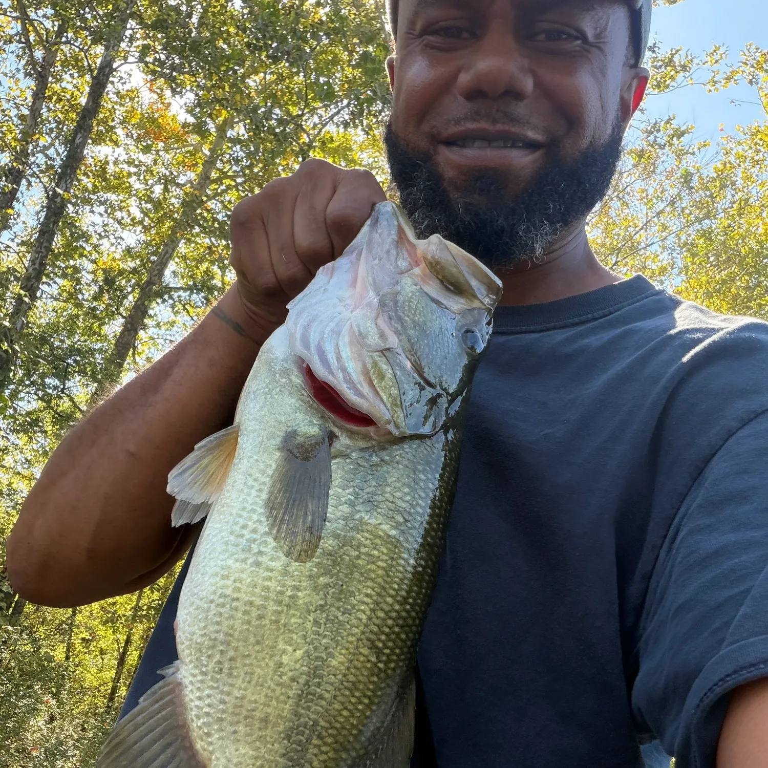 Largemouth bass caught on Fishbrain