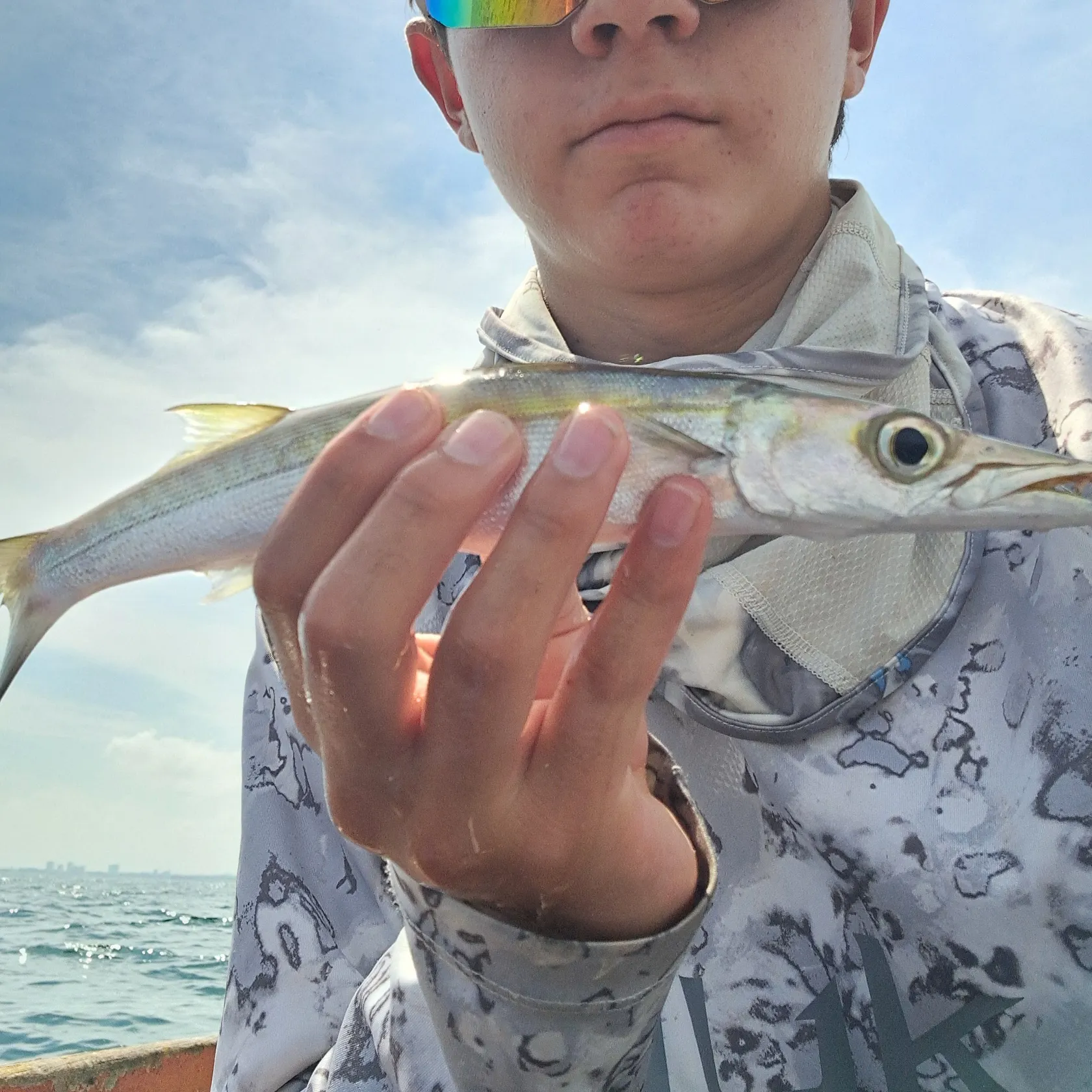 Great barracuda caught on Fishbrain