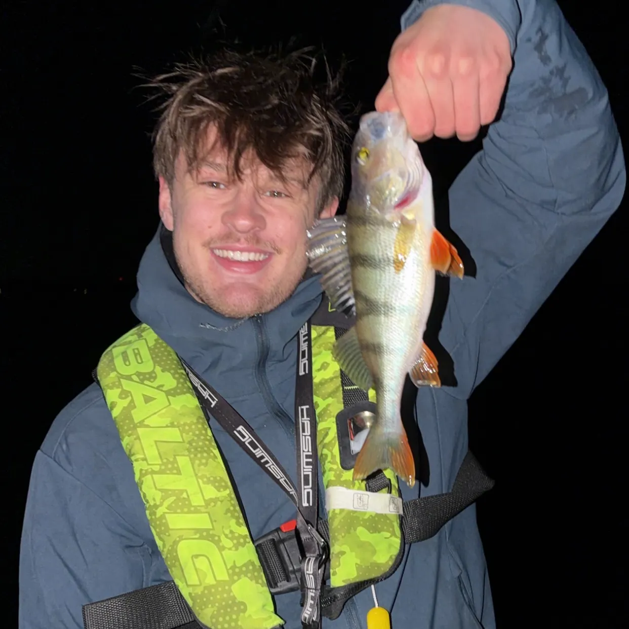 European perch caught on Fishbrain