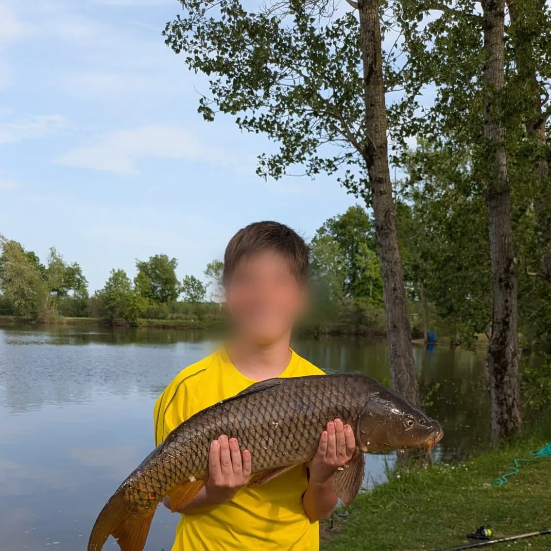 Common carp caught on Fishbrain